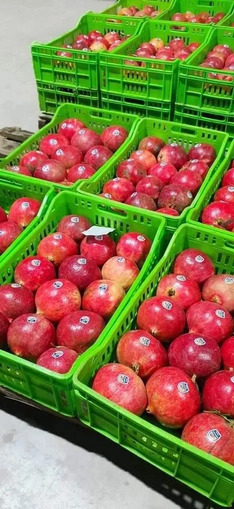 Pomegranates in green export crates